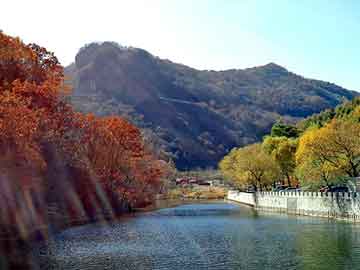 管家婆黑白马报图库，a430